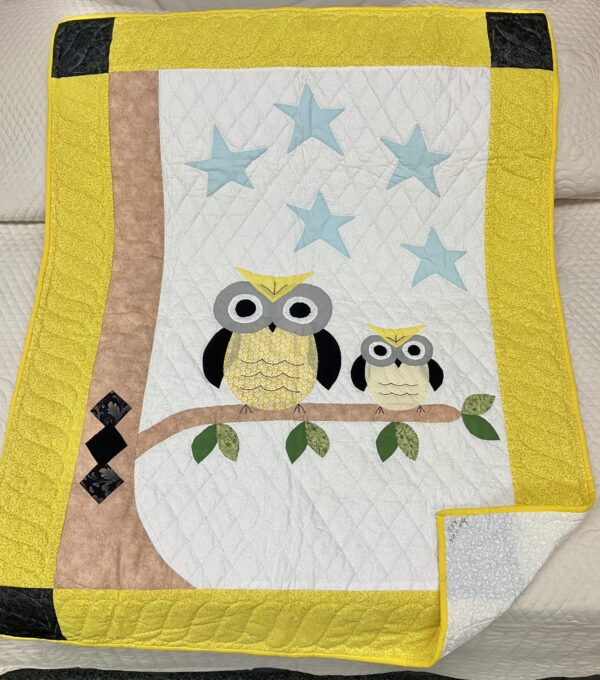 Owls