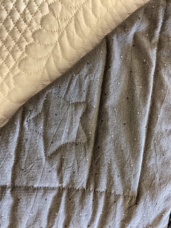 Primitive Stars Stripes-backing Item #C1400052