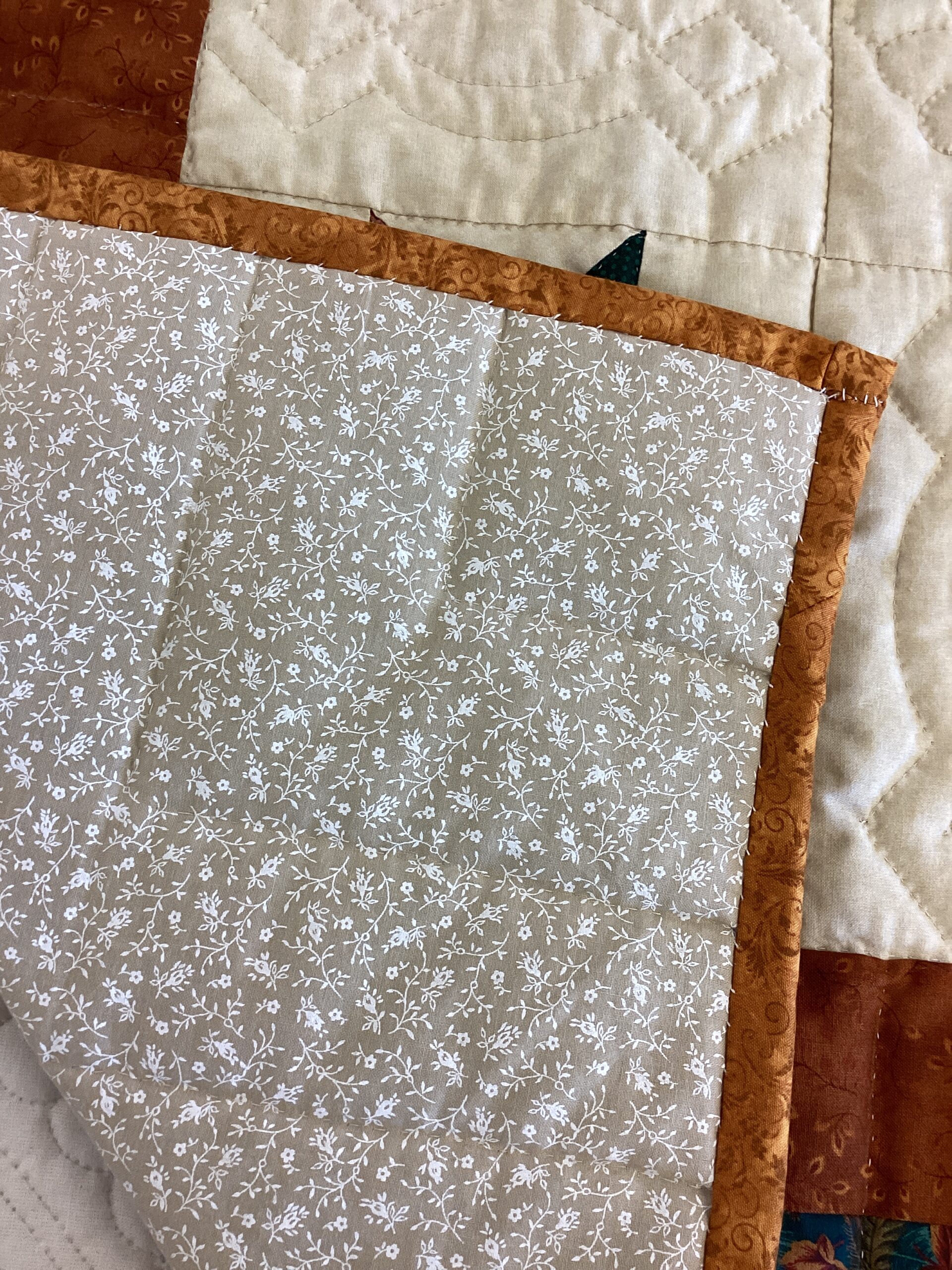 Fall Colors Star Motif Throw - Image 7