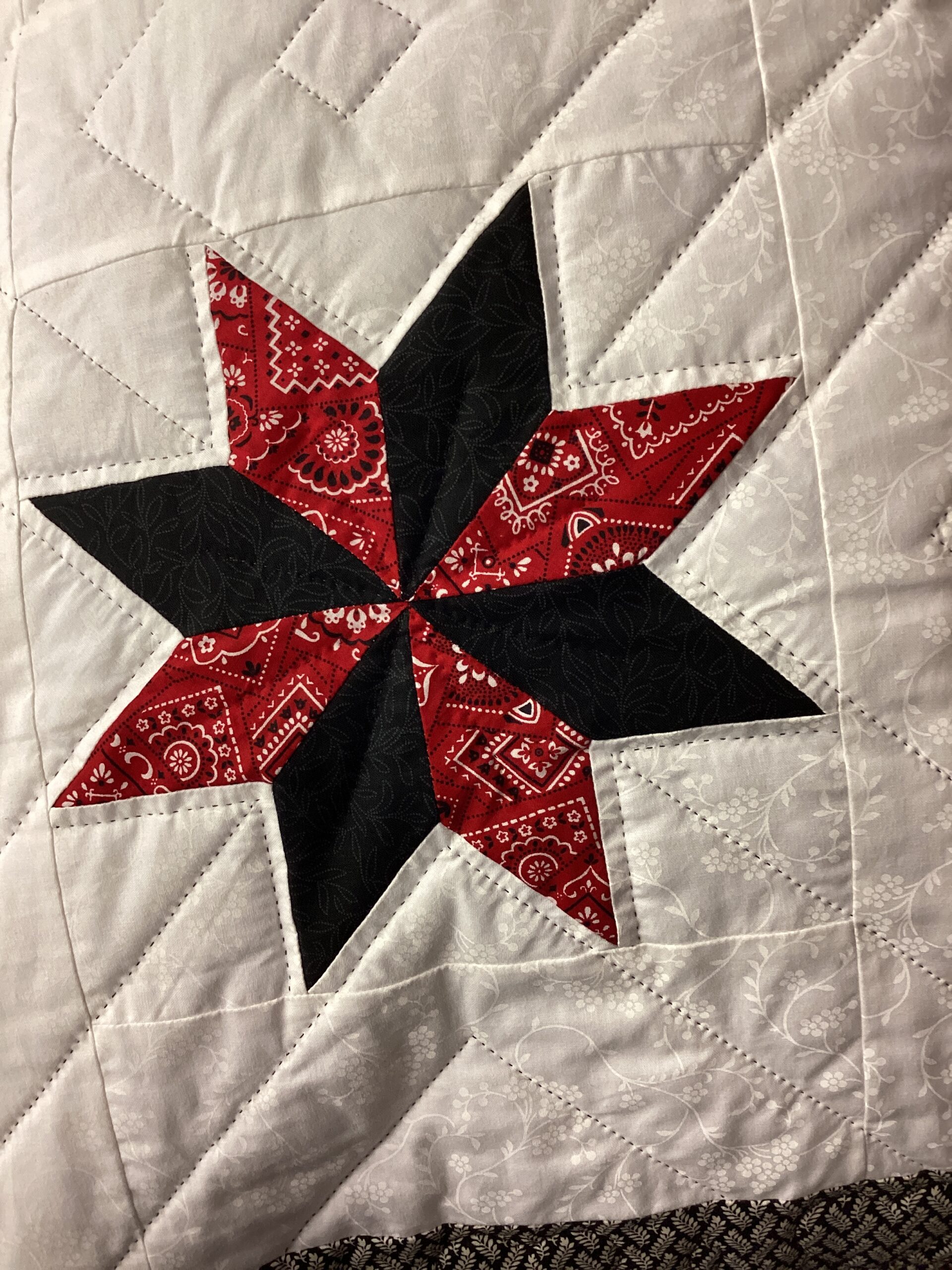 Maryland Star Queen Size Hand-Stitched Quilt - Image 5